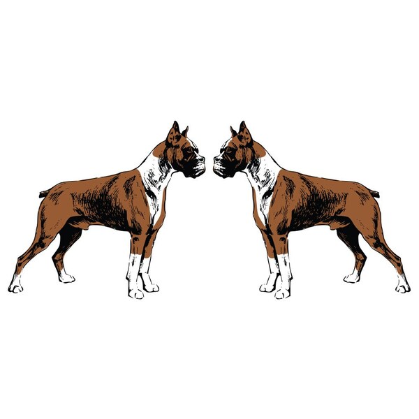 Boxer Dog Decal, Dog Lover Decor Vinyl Sticker